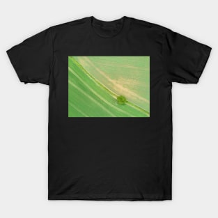 Suffolk Fields #1 T-Shirt